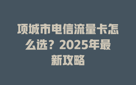 项城市电信流量卡怎么选？2025年最新攻略