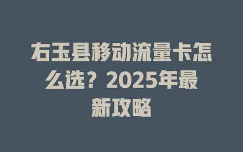 右玉县移动流量卡怎么选？2025年最新攻略