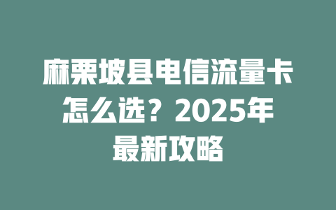 麻栗坡县电信流量卡怎么选？2025年最新攻略
