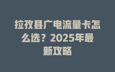 拉孜县广电流量卡怎么选？2025年最新攻略