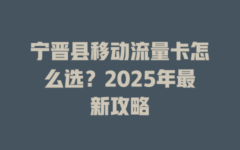 宁晋县移动流量卡怎么选？2025年最新攻略