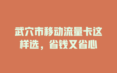 武穴市移动流量卡这样选，省钱又省心