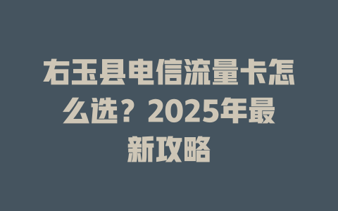 右玉县电信流量卡怎么选？2025年最新攻略
