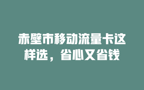 赤壁市移动流量卡这样选，省心又省钱