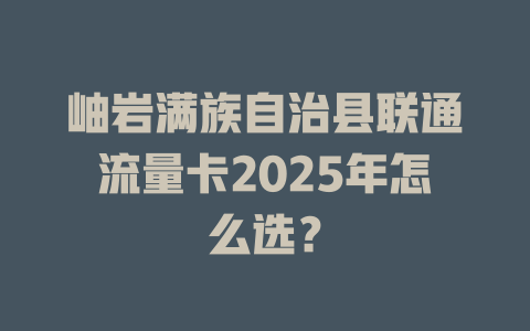 岫岩满族自治县联通流量卡2025年怎么选？