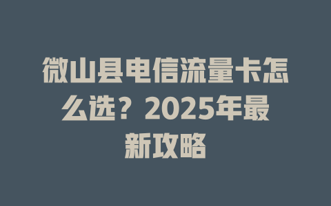 微山县电信流量卡怎么选？2025年最新攻略