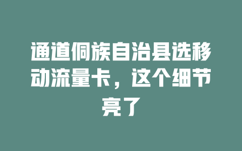 通道侗族自治县选移动流量卡，这个细节亮了