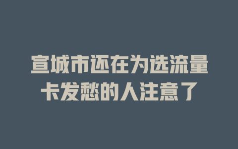 宣城市还在为选流量卡发愁的人注意了