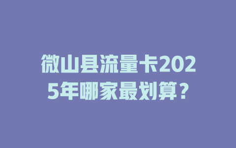微山县流量卡2025年哪家最划算？