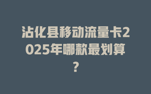 沾化县移动流量卡2025年哪款最划算？