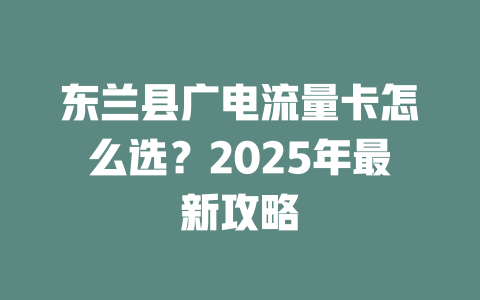 东兰县广电流量卡怎么选？2025年最新攻略