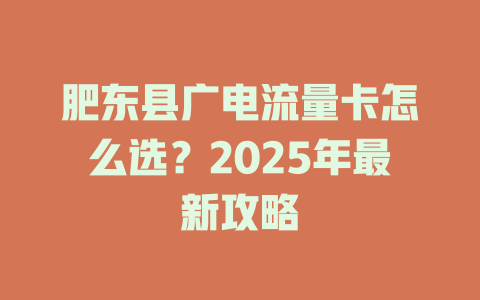 肥东县广电流量卡怎么选？2025年最新攻略