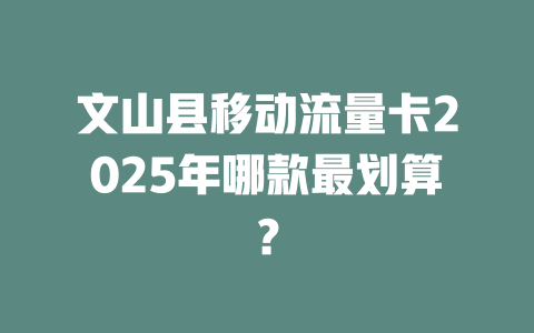 文山县移动流量卡2025年哪款最划算？