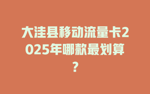 大洼县移动流量卡2025年哪款最划算？
