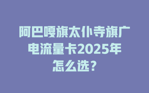 阿巴嘎旗太仆寺旗广电流量卡2025年怎么选？