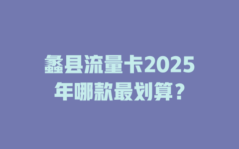 蠡县流量卡2025年哪款最划算？