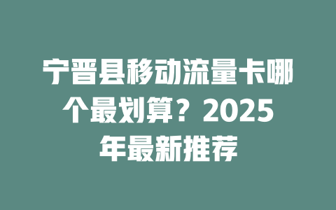 宁晋县移动流量卡哪个最划算？2025年最新推荐
