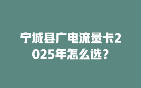 宁城县广电流量卡2025年怎么选？