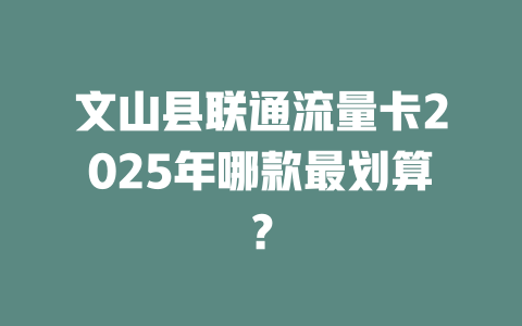 文山县联通流量卡2025年哪款最划算？