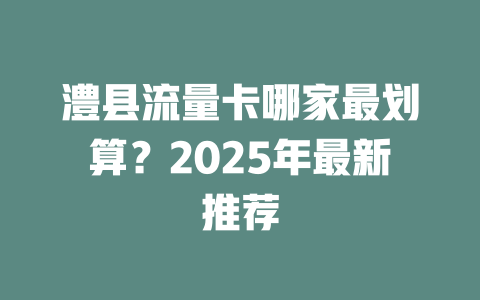 澧县流量卡哪家最划算？2025年最新推荐