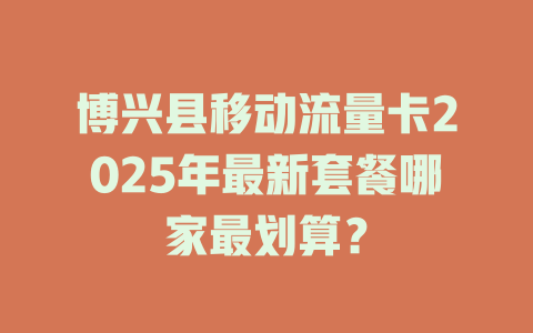 博兴县移动流量卡2025年最新套餐哪家最划算？