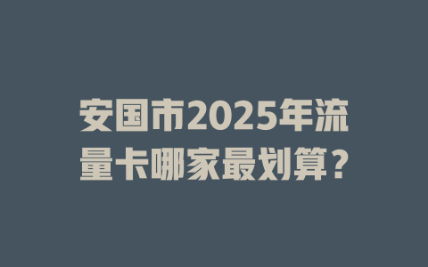 安国市2025年流量卡哪家最划算？