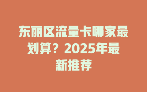 东丽区流量卡哪家最划算？2025年最新推荐