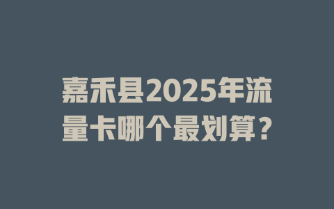 嘉禾县2025年流量卡哪个最划算？