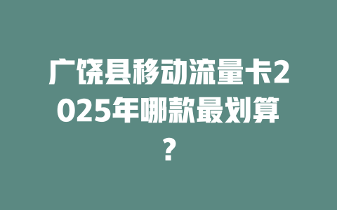 广饶县移动流量卡2025年哪款最划算？