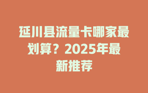 延川县流量卡哪家最划算？2025年最新推荐
