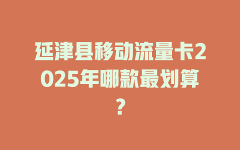 延津县移动流量卡2025年哪款最划算？