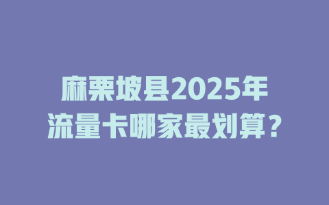 麻栗坡县2025年流量卡哪家最划算？