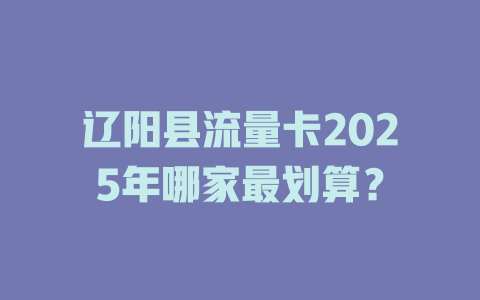 辽阳县流量卡2025年哪家最划算？