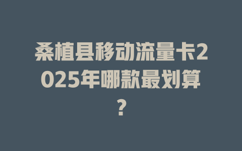 桑植县移动流量卡2025年哪款最划算？