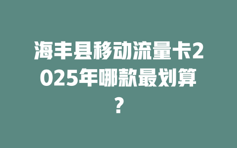 海丰县移动流量卡2025年哪款最划算？