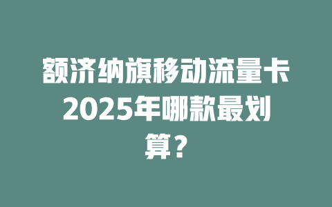 额济纳旗移动流量卡2025年哪款最划算？