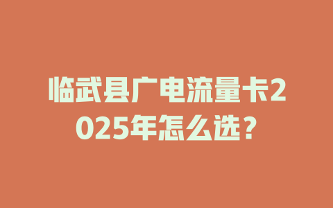 临武县广电流量卡2025年怎么选？