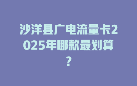 沙洋县广电流量卡2025年哪款最划算？
