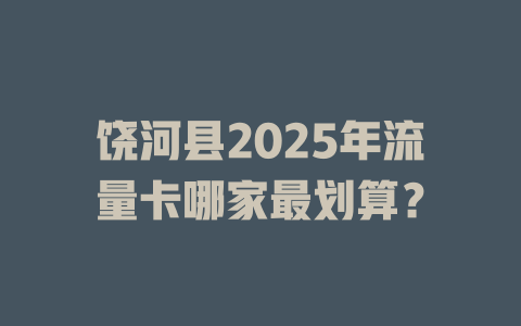 饶河县2025年流量卡哪家最划算？