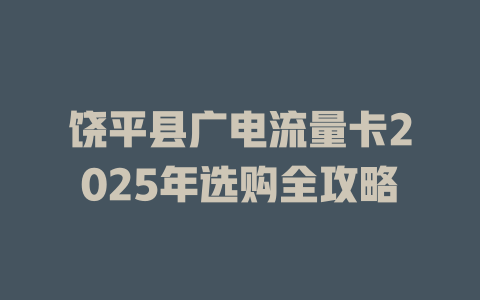 饶平县广电流量卡2025年选购全攻略