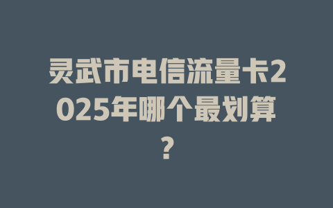灵武市电信流量卡2025年哪个最划算？