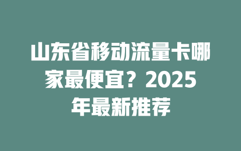 山东省移动流量卡哪家最便宜？2025年最新推荐