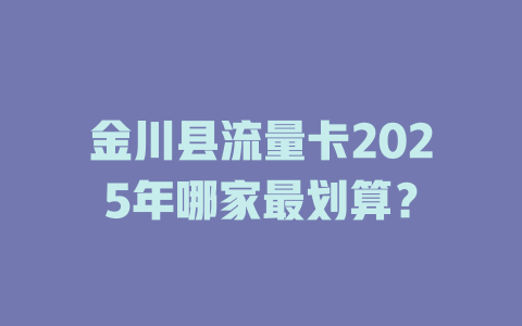 金川县流量卡2025年哪家最划算？