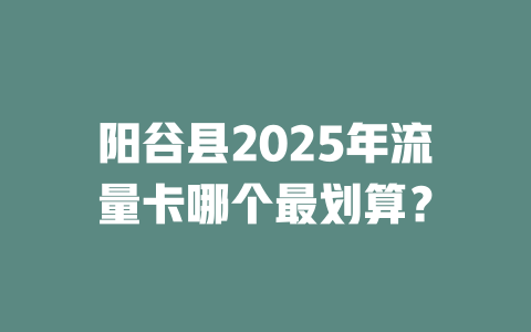 阳谷县2025年流量卡哪个最划算？