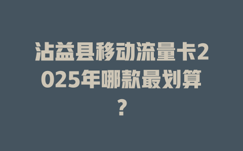 沾益县移动流量卡2025年哪款最划算？