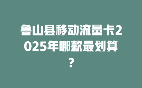 鲁山县移动流量卡2025年哪款最划算？