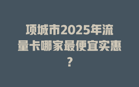项城市2025年流量卡哪家最便宜实惠？