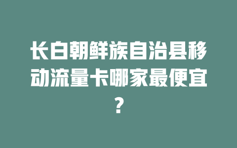 长白朝鲜族自治县移动流量卡哪家最便宜？