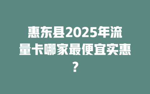 惠东县2025年流量卡哪家最便宜实惠？
