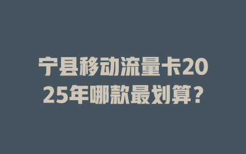宁县移动流量卡2025年哪款最划算？